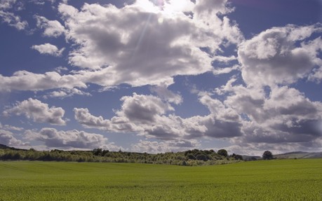 Papel De Parede Grass Hd Natureza Tudocelularcom