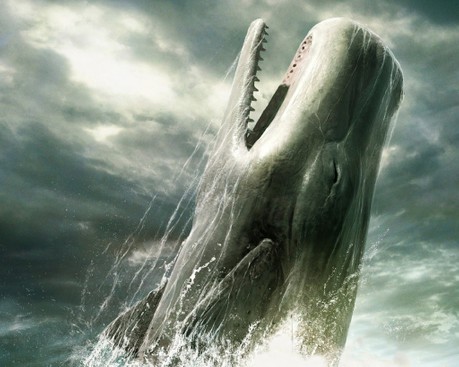 Papel De Parede Big Whale Jump Para Lenovo Vibe K5 Tudocelularcom