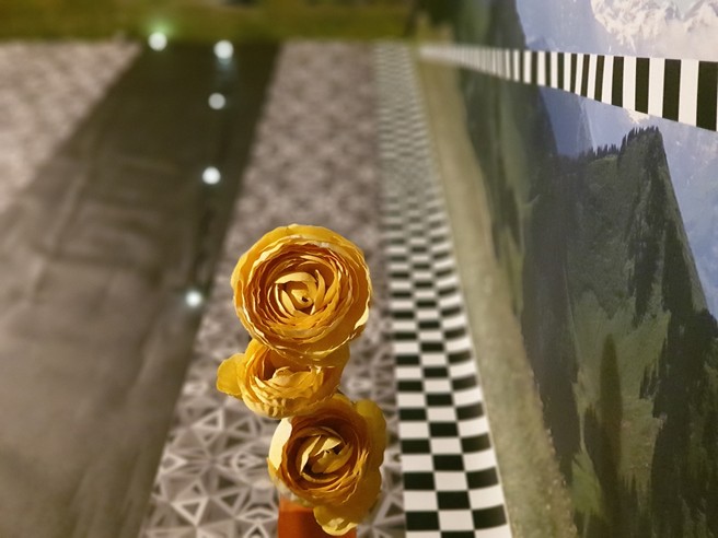 Modo bokeh Galaxy Note 9