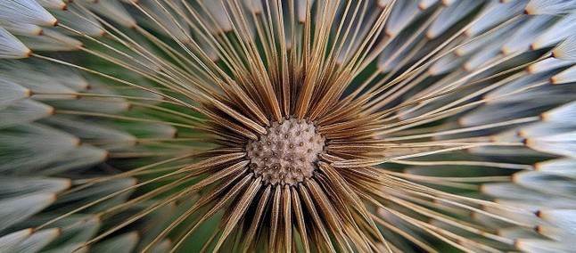 صور القراء # 269 – نوكيا 8 في Caraguatatuba (SP)